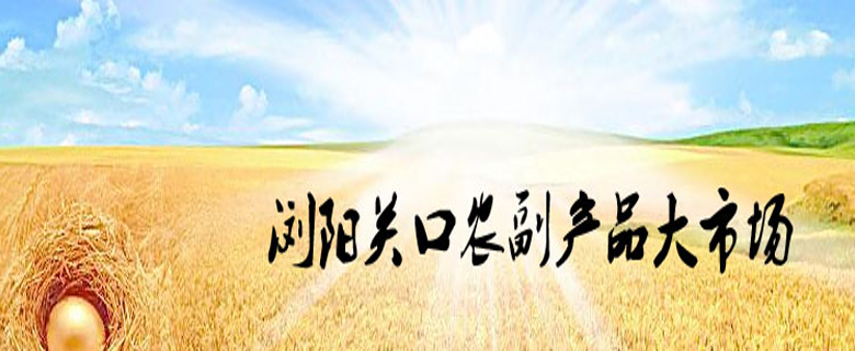 焦點圖8